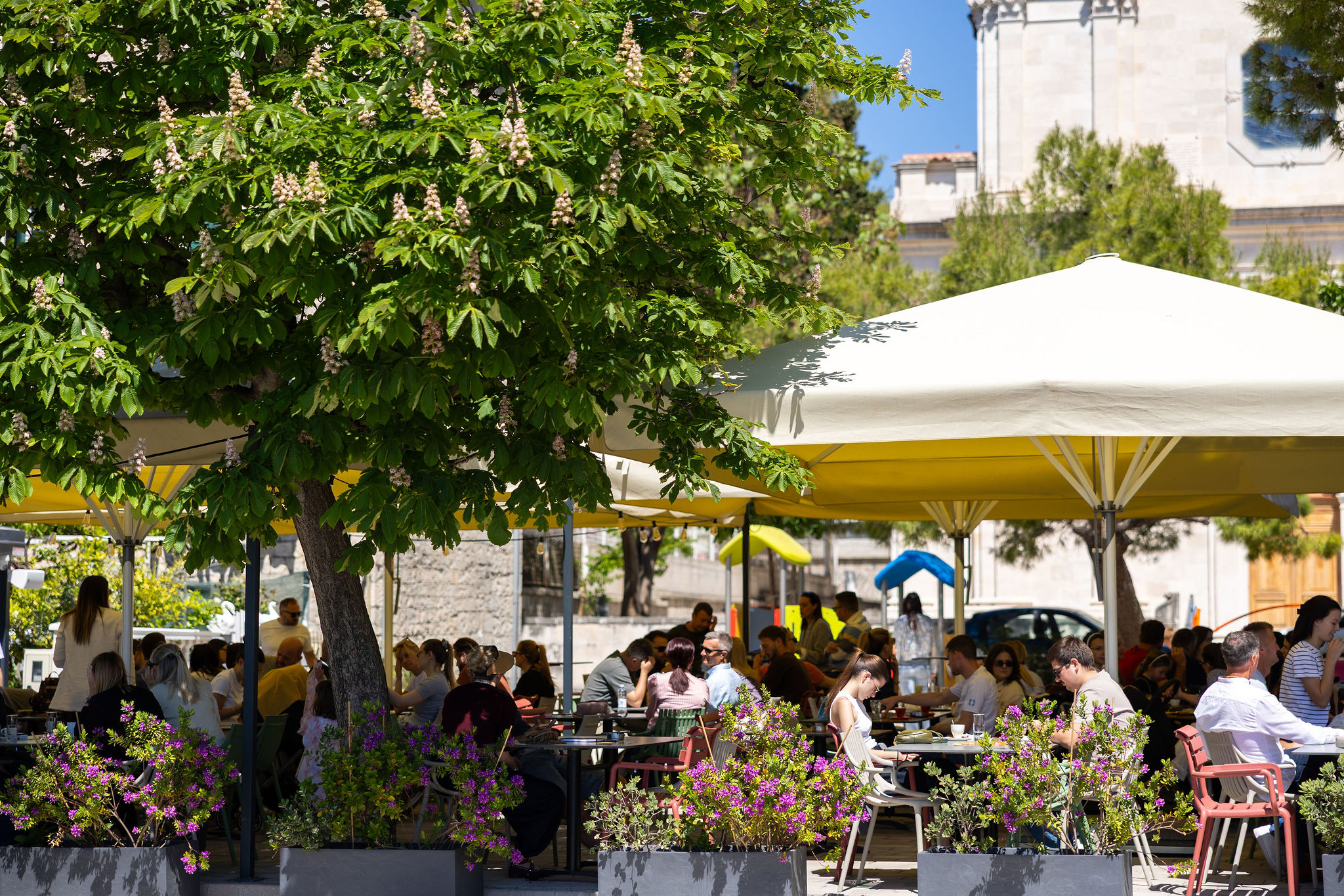 Faraon Food Bar Kaštel Lukšić
